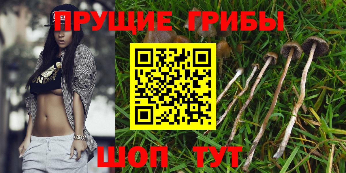 Галлюциногенные грибы Magic Shrooms  Вход с VPN  Серпухов 